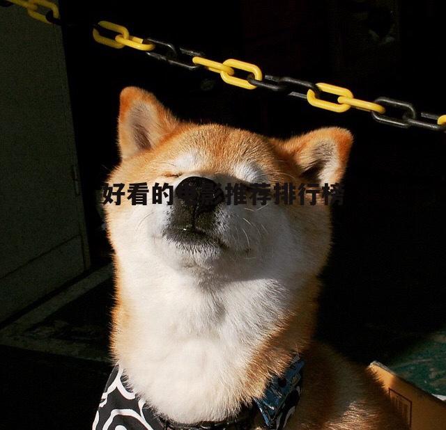 好看的电影推荐排行榜